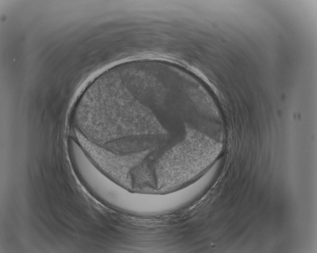 X0000083981508200703161544