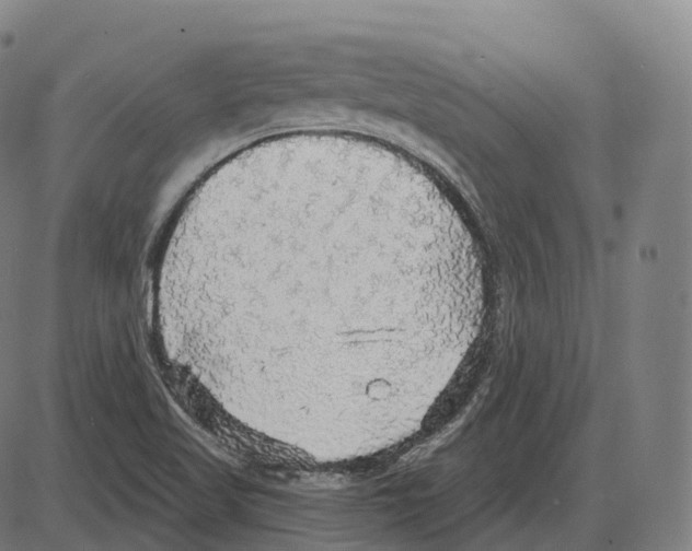 X0000083981509200703161544