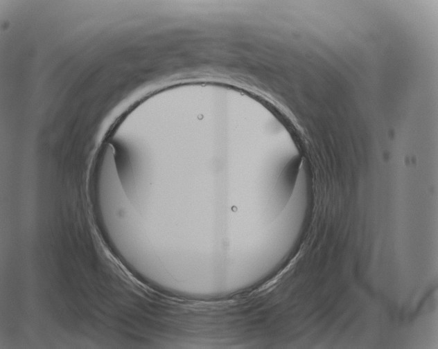 X0000083981510200703161544