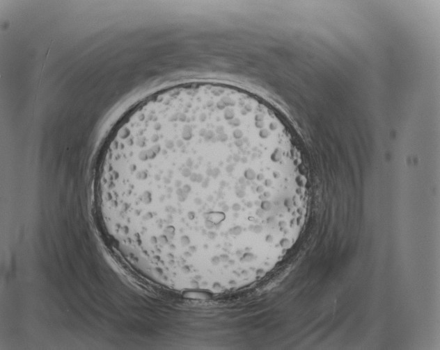 X0000083981511200703161544