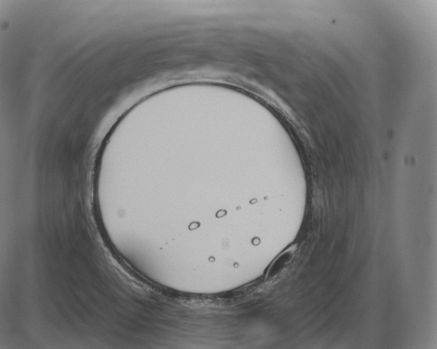 X0000083981512200703161544