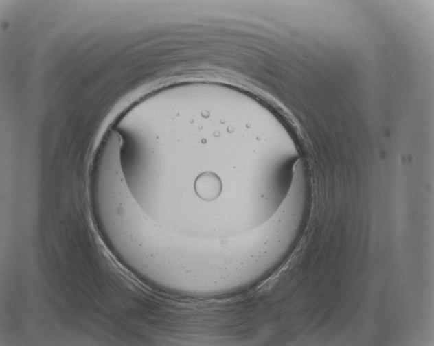 X0000083981514200703161544