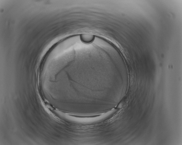 X0000083981515200703161544