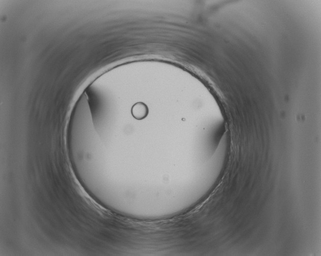 X0000083981516200703161544