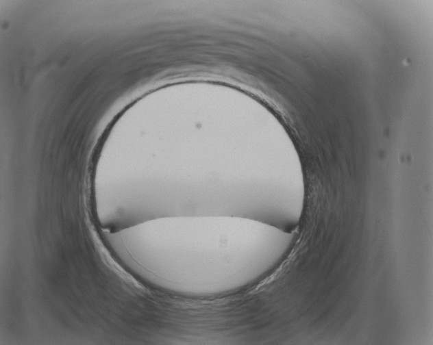 X0000083981518200703161544