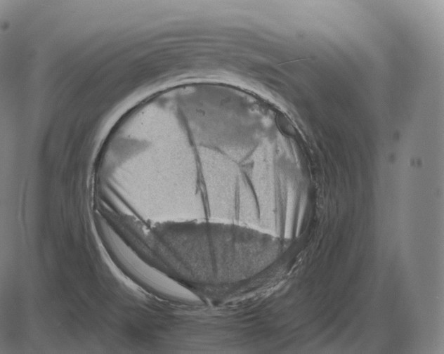 X0000083981519200703161544