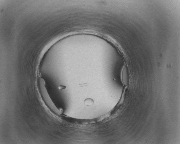 X0000083981520200703161544