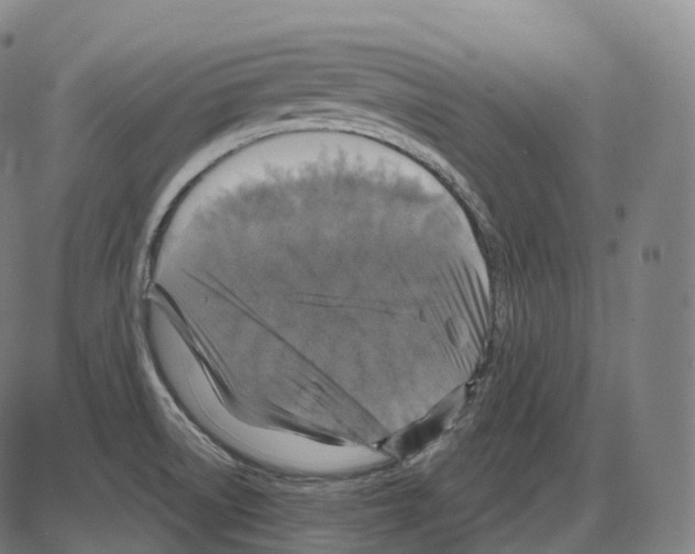 X0000083981522200703161544