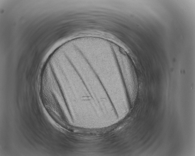 X0000083981523200703161544