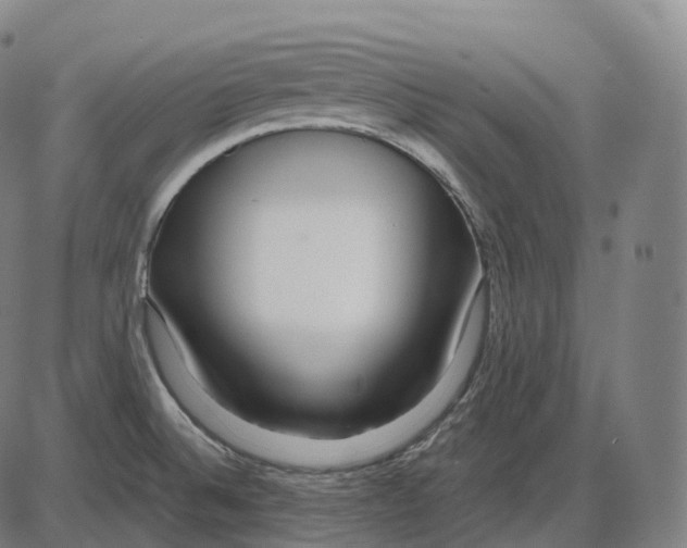 X0000083981524200703161544