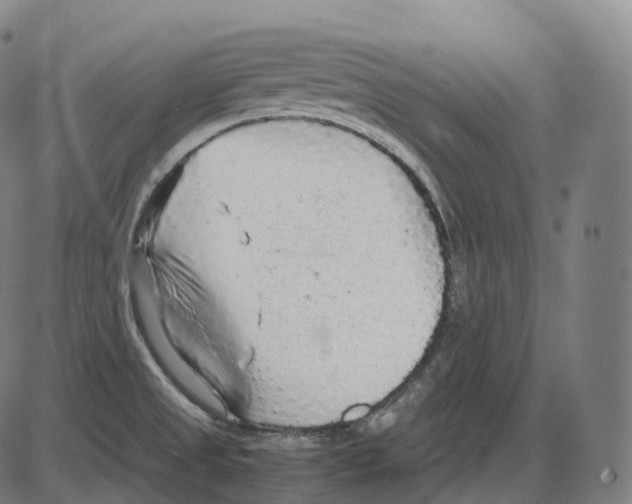 X0000083981525200703161544