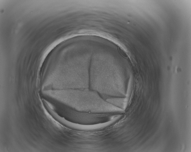 X0000083981527200703161544