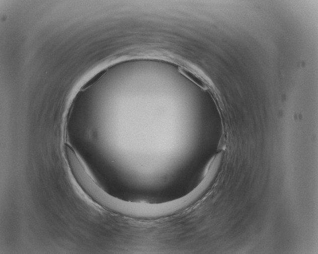 X0000083981528200703161544