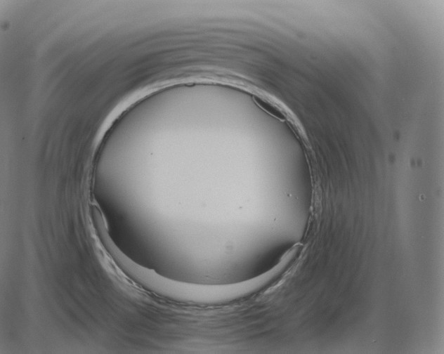 X0000083981530200703161544