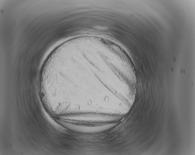 X0000083981531200703161544