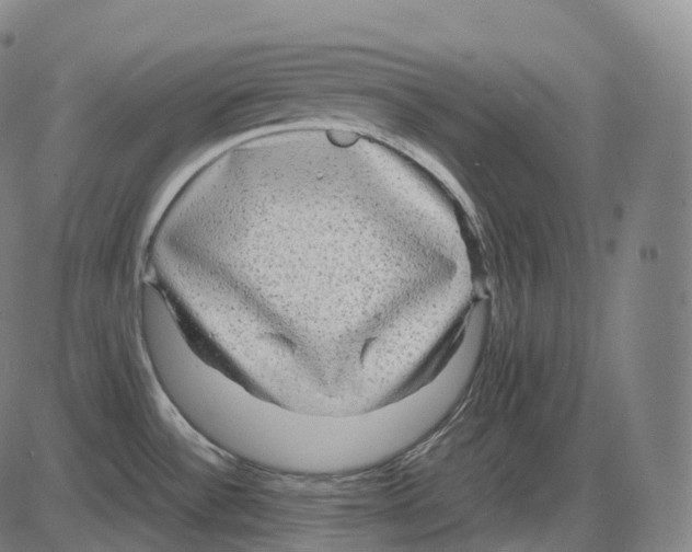 X0000083981532200703161544