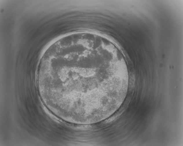 X0000083981535200703161544