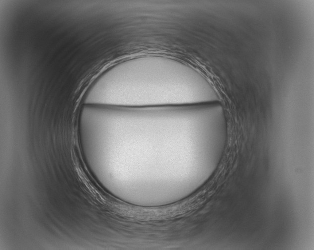X0000083990002200702160743