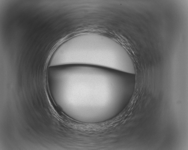 X0000083990003200702160743