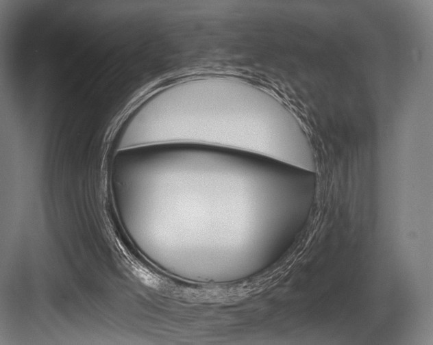 X0000083990005200702160742
