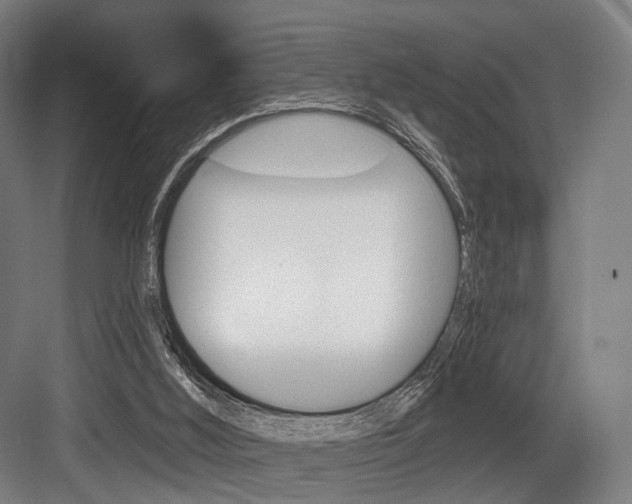 X0000083990012200702160742