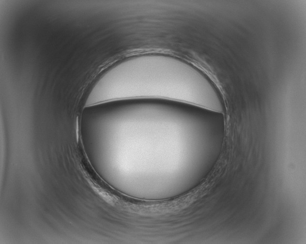 X0000083990013200702160742