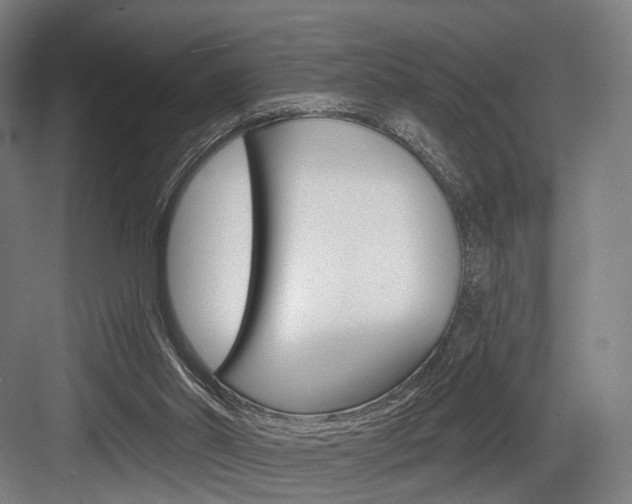 X0000083990014200702160742