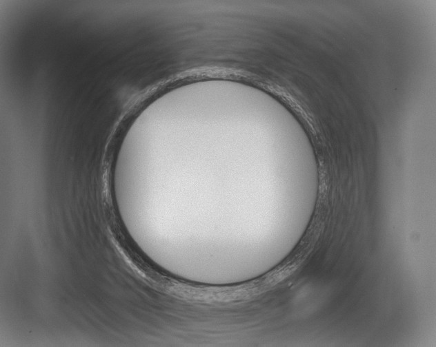 X0000083990016200702160742