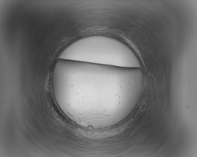X0000083990018200702160742