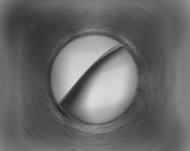 X0000083990023200702160742