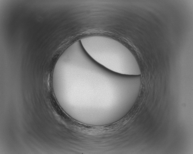 X0000083990024200702160742