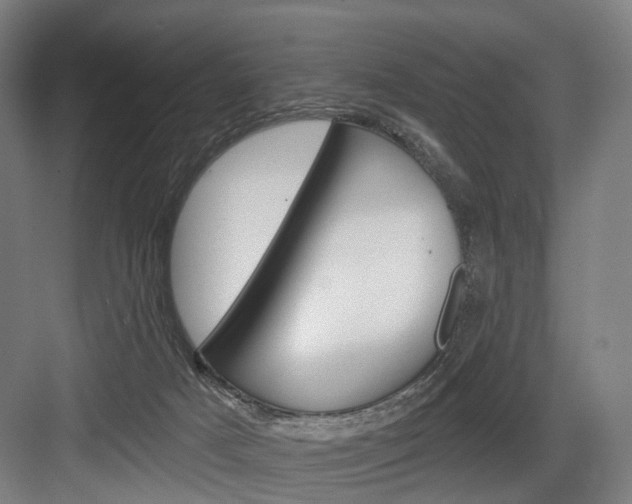 X0000083990025200702160742