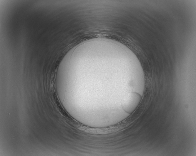 X0000083990030200702160742