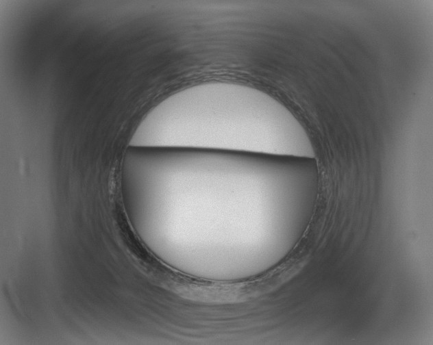 X0000083990032200702160742