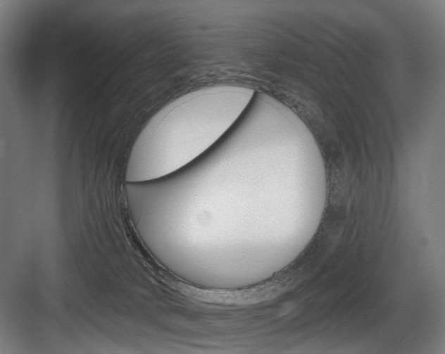 X0000083990034200702160742