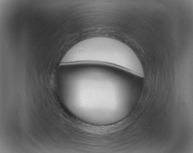 X0000083990035200702160742