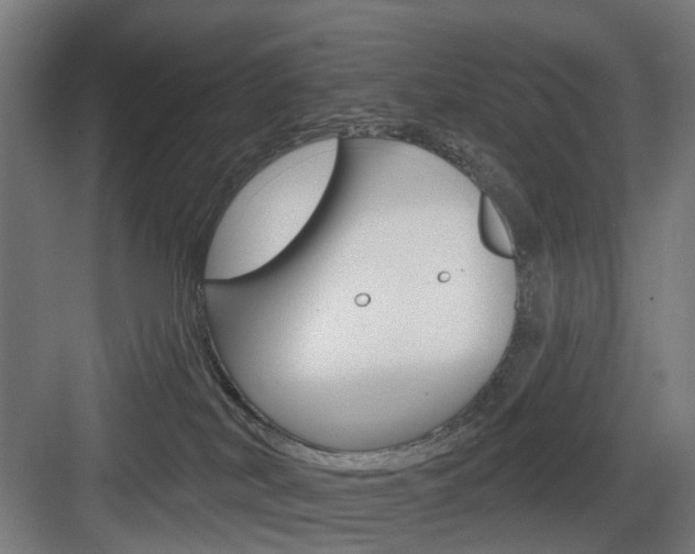 X0000083990038200702160742