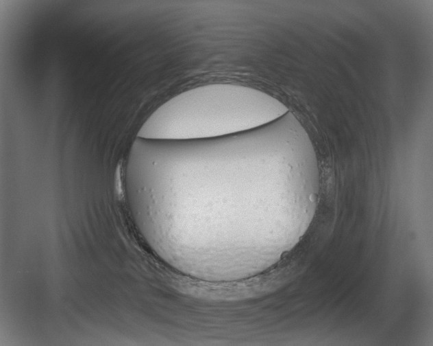 X0000083990042200702160742