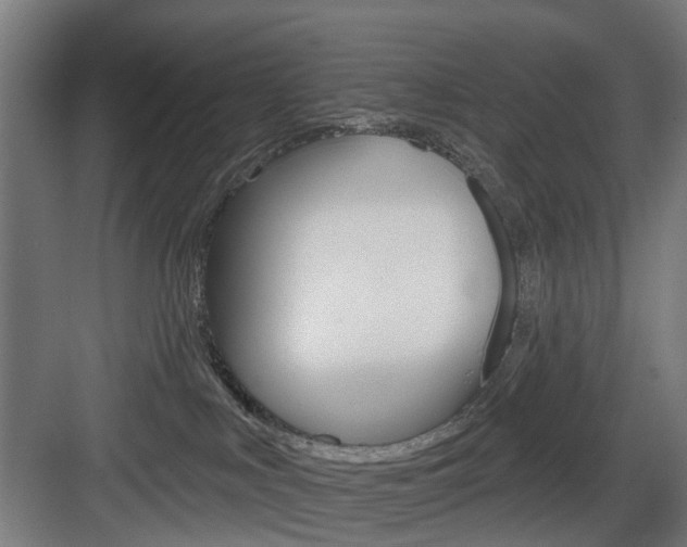 X0000083990043200702160742