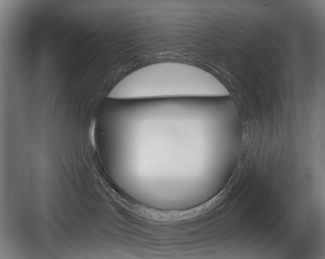 X0000083990047200702160742