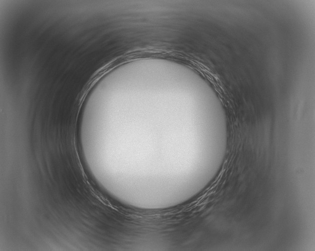 X0000083990051200702160741