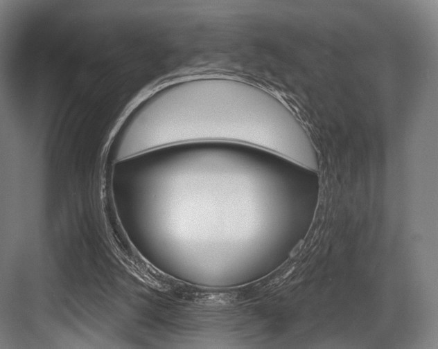 X0000083990056200702160741