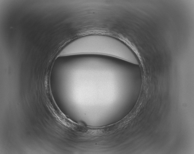 X0000083990057200702160741