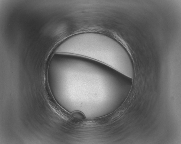 X0000083990059200702160741
