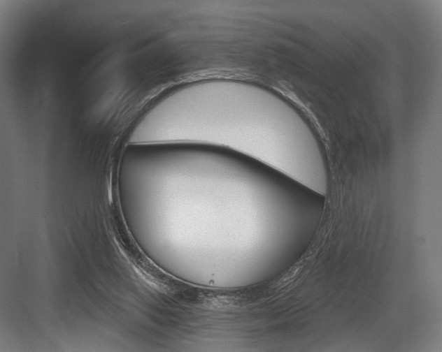 X0000083990062200702160741