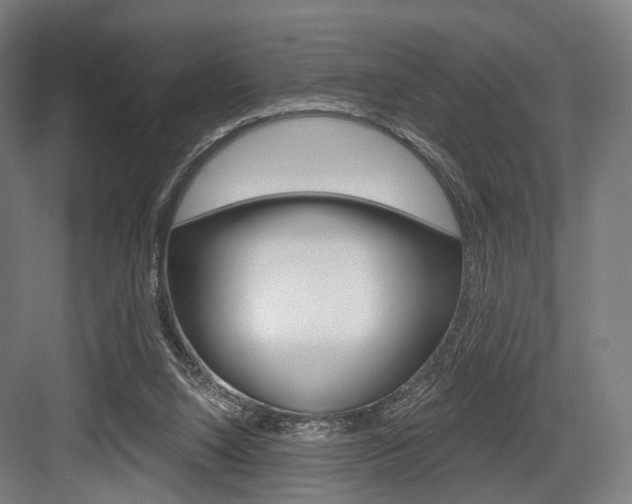 X0000083990064200702160741