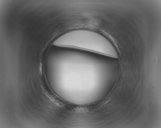 X0000083990067200702160741