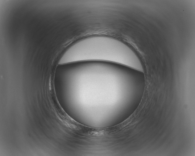 X0000083990068200702160741