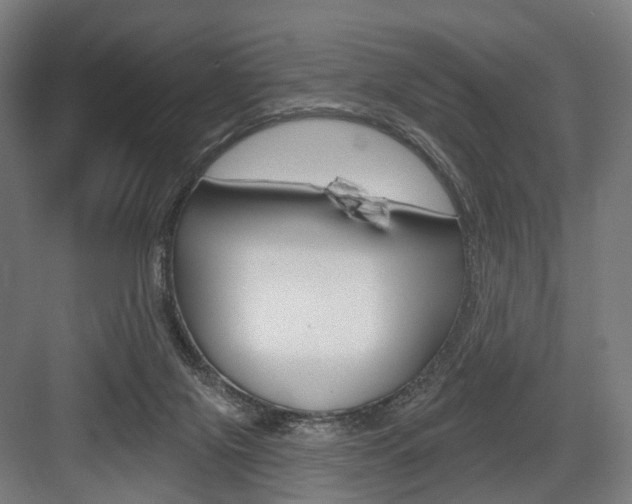 X0000083990071200702160741