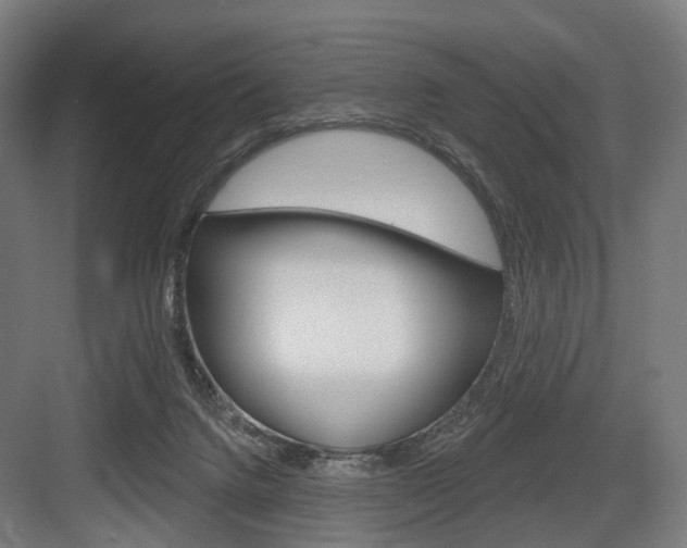 X0000083990072200702160741